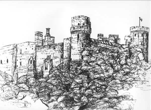 Pen and Ink Drawings