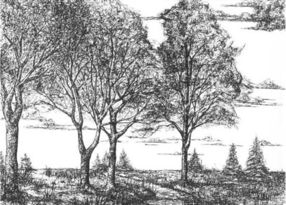 Drawing of pathway and trees